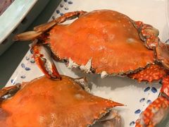 -北塘海鲜·天津菜(大光明桥旗舰店)