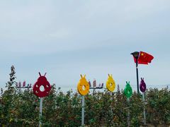 -贡湖湾湿地公园