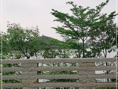 -立新湖公园