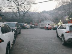 -闻道食府烙饼卷带鱼(原车耳营店原大觉寺店)