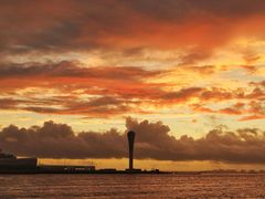 -上海吴淞炮台湾国家湿地公园