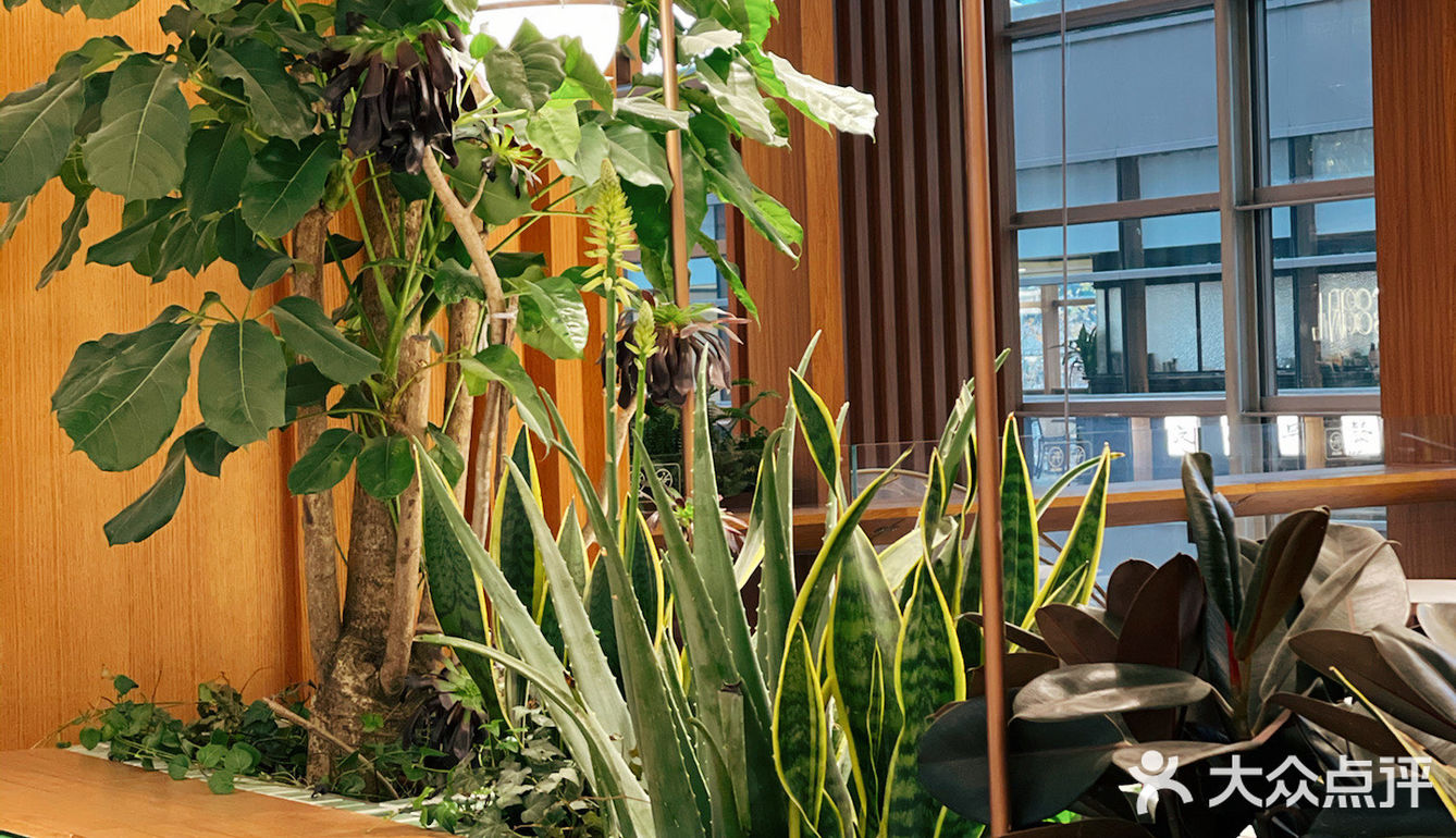 融入了更多新鲜血液！一楼有ARABICA%