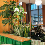 融入了更多新鲜血液！一楼有ARABICA%