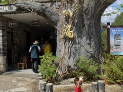 -磐安十八涡风景区