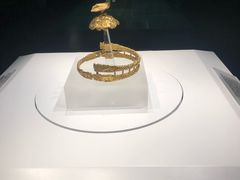 景点-内蒙古博物院