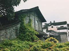 -乌镇东栅景区