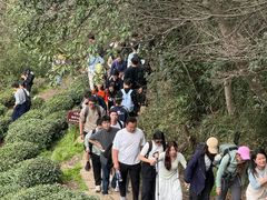-十里琅珰