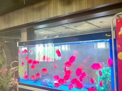 -臻享养生·SPA·影院式足道(汇臻店)