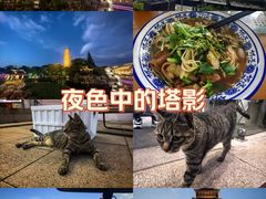 -常熟方塔园