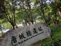 -唐城墙遗址公园