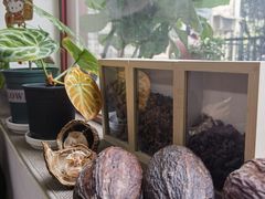 -SANYAY叁言咖啡巧克力