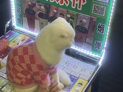 -黄兴南路步行商业街