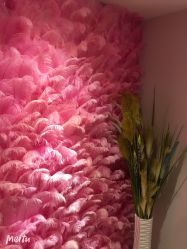 -诗丽华黛美容院