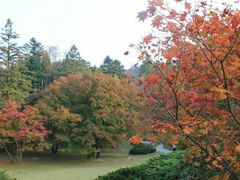 android_upload_pic-庐山天沐温泉度假村