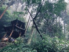 -青城山