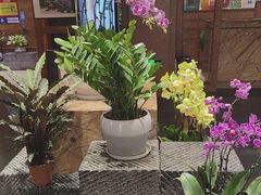 -黔蘑菇四季餐厅(观山湖店)