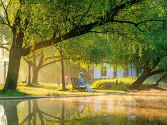 -上海共青森林公园