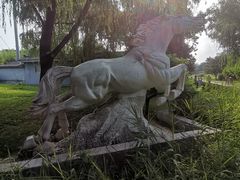 -莲花池公园