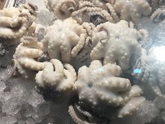 -铭聚章鱼土笋冻(松柏店)