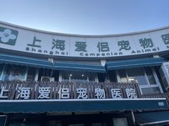 -爱侣宠医·鹦鹉专科·小型哺乳类·异宠专科(灵石路店)