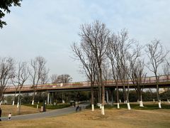 -府河摄影公园