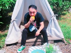 -柑橘农场