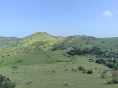 -大姆山草场