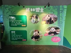 -武汉动物园