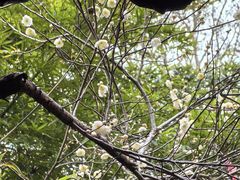 -钱王祠