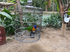 -南宫五洲植物乐园