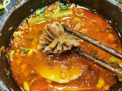 -刘胖娃鱼庄·特色鱼火锅(白鹤路店)