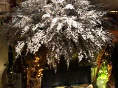 -JUKEBOX玖部音乐餐厅(华侨城店)