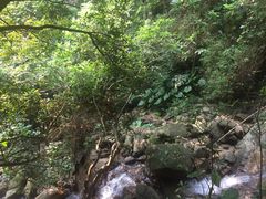 -火炉山森林公园