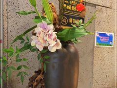 -上井料理黑金店(IFS国金中心店)