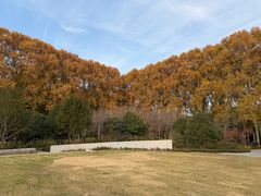 -河南省黄河迎宾馆