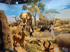 -陕西自然博物馆