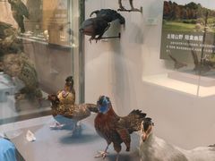 -天津自然博物馆