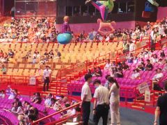 -广州长隆国际大马戏