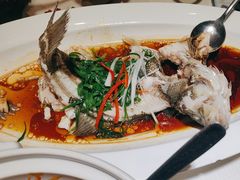 -院里寻菜·精致庭院菜(观沙岭店)