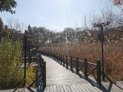 -溱湖国家湿地公园