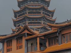 -铁山坪森林公园