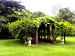 瑞金宾馆-上海瑞金洲际酒店