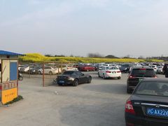 -奥特莱斯停车场