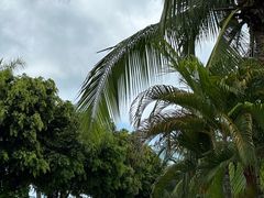 -三亚海棠湾万丽度假酒店