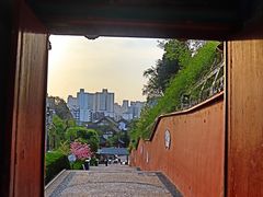 -玉泉观