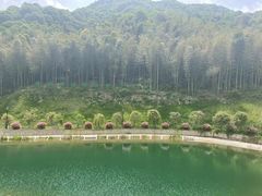 -龙坞茶村