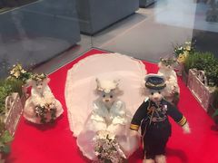 -济州岛泰迪熊博物馆