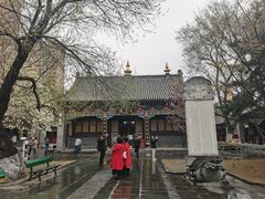 -护国法轮寺