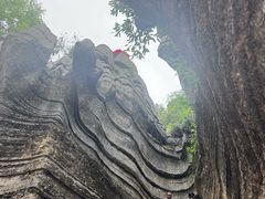 -梭布垭石林景区