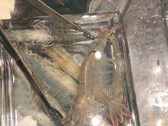 -五星桥原切肥牛火锅·30年专注好牛肉(湖塘店)